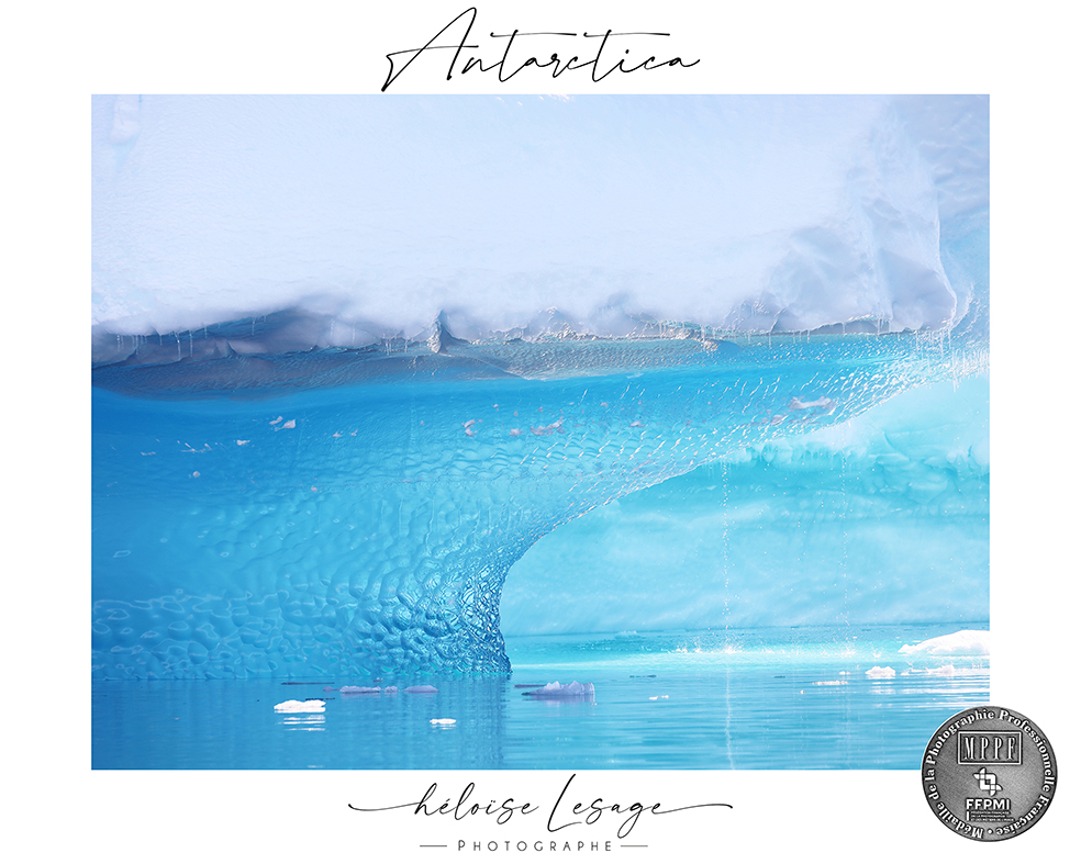 Photo Antarctique médaillée